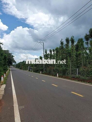 Bán Đất 9260m2 xã Lâm San, huyện Cẩm Mỹ (chính chủ)