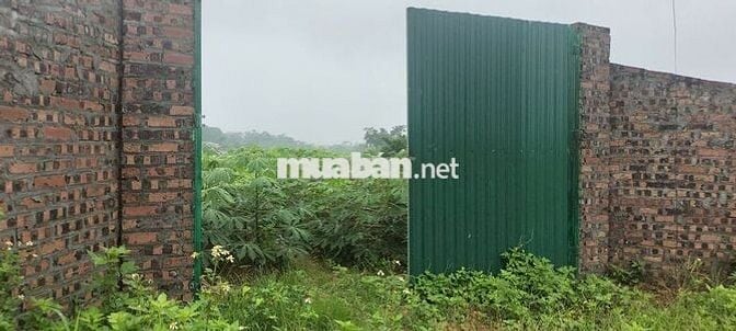 Cần bán 500m2 đất ở nông thôn, mặt tiền đường Cầu Ngói, thôn Bằng Tạ