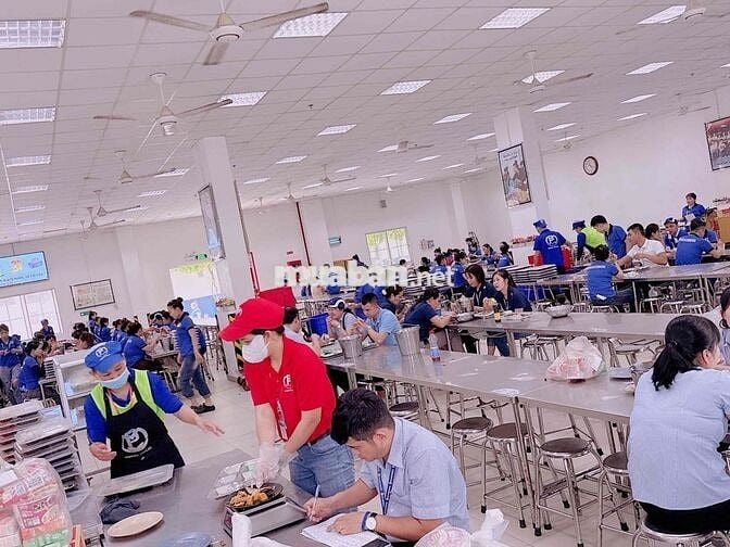 Tuyển 1 tài xế B2 trở lên lái xe & phục vụ suất ăn