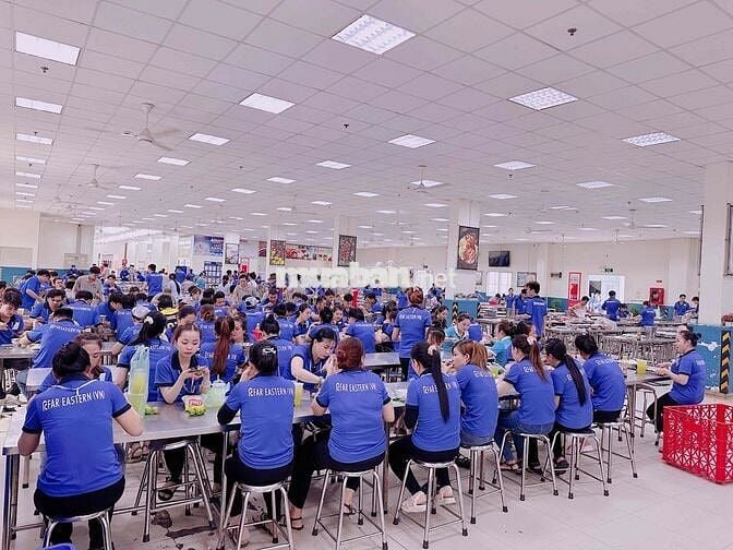 Tuyển 1 tài xế B2 trở lên lái xe & phục vụ suất ăn