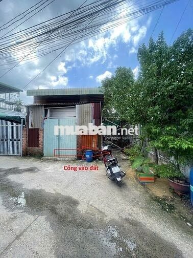 Kẹt tiền bán đất giá rẻ tại Tân Hiệp Hóc môn rộng 250m2 (10x25m)