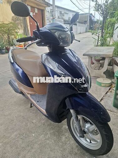 Honda Lead Xanh, Nâu