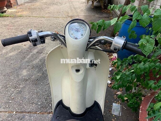 Honda Scoopy Xanh đậm Nhật Bản