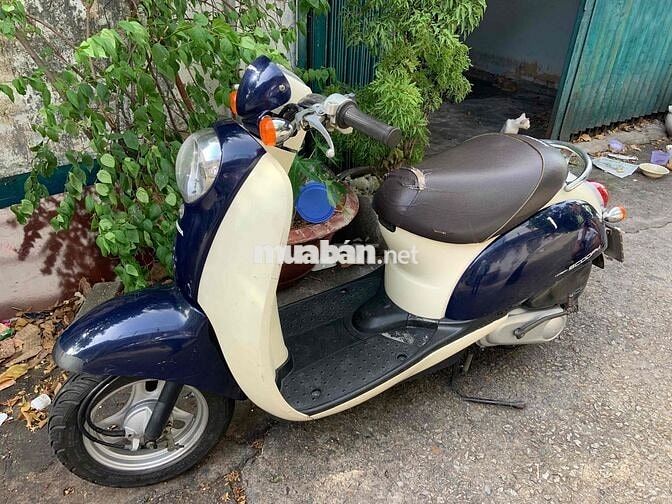 Honda Scoopy Xanh đậm Nhật Bản