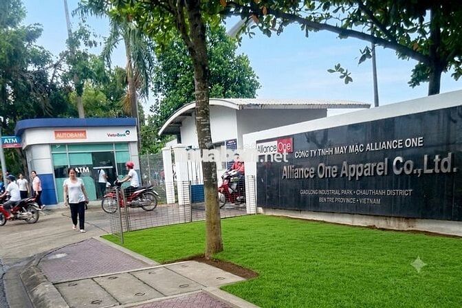 Nhân viên kiểm hàng mẫu