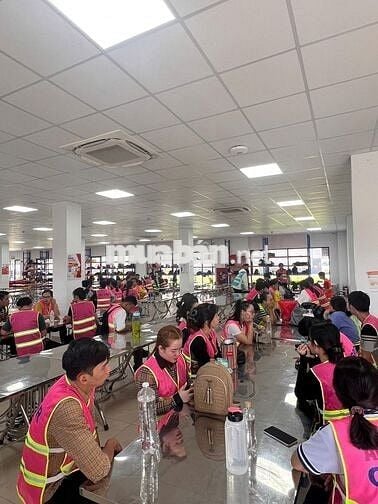 GẤP NAM/NỮ LÀM KHO SPX – KCN ĐỒNG AN 2, BÌNH DƯƠNG