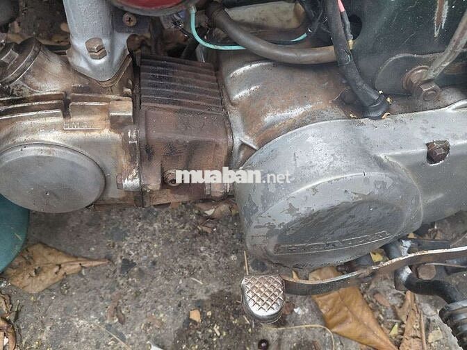 Honda Cub 50 1986 zin nhật.cavec bs komtum