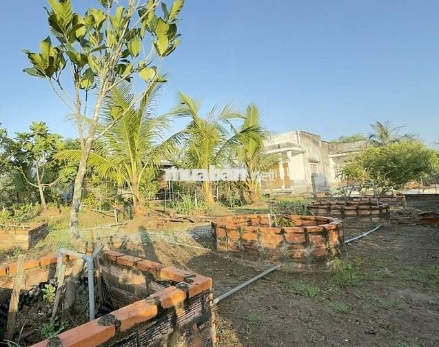 bán đất xây nhà vườn, gần quốc lộ 50, Phường Sơn Qui, Tp Gò Công cũ sh