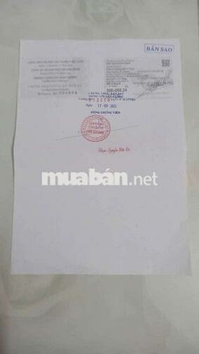 Honda City RS 2023 Trắng 200000 km