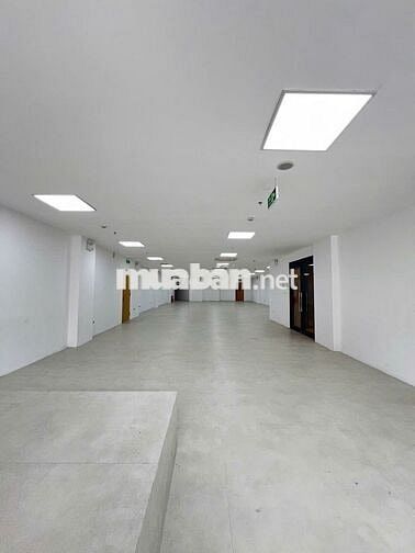 Cho thuê MBKD/VP tại Tôn Đức Thắng/dtxd 340m2
