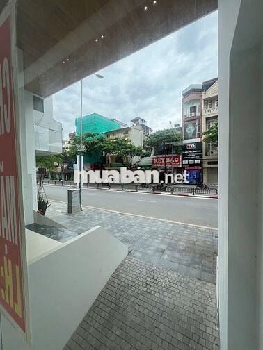 Cho thuê MBKD/VP tại Tôn Đức Thắng/dtxd 340m2
