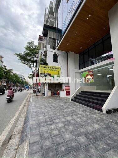 Cho thuê MBKD/VP tại Tôn Đức Thắng/dtxd 340m2
