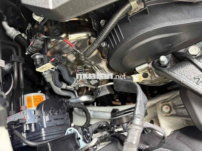 Bán Kia Carnival Signature 2021 Dầu hỗ trợ bank