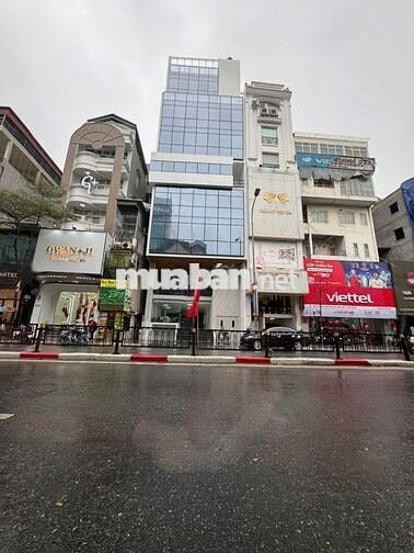 Cho thuê MBKD/VP tại Tôn Đức Thắng/dtxd 340m2