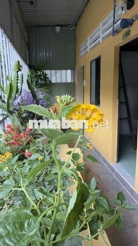 CHO THUÊ PHÒNG TRỌ CÓ GÁC GẦN ĐH NGÂN HÀNG, ĐH QUỐC GIA…