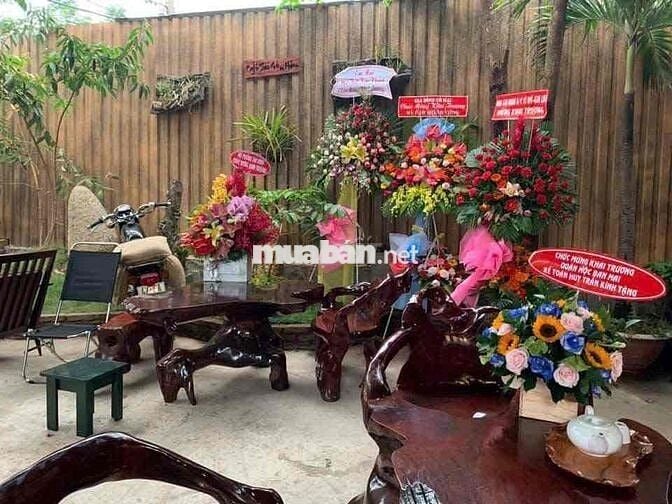 Cho Thuê Góc 2 Mặt Tiền Cho Ai Kinh Doanh Caphê DT 15x15
