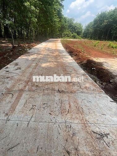 Ngộp bán nhanh 5x58m2 sẵn 50 thổ cư cách Ql13 chỉ 600m