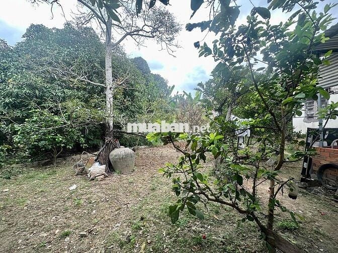 Đất Quang Thạnh 110,5m², ngang 6m, gần đường mở rộng 20m – Giá 1,15 tỷ