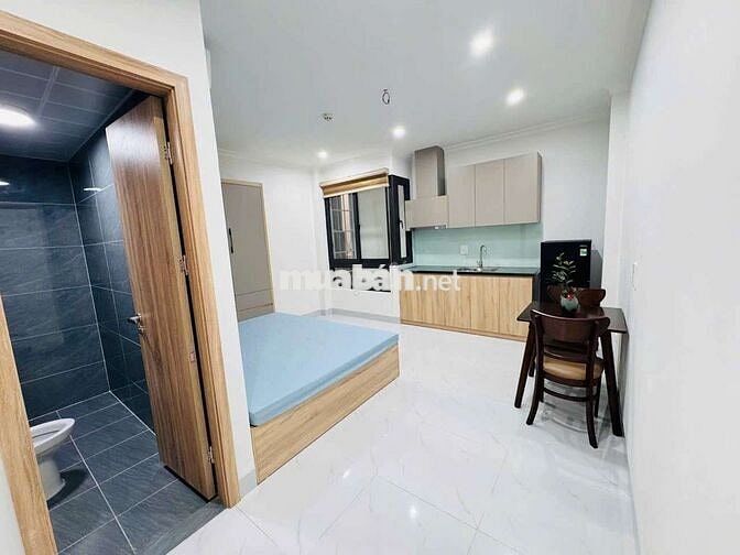Căn hộ Studio Ngõ 5 Trần Thái Tông 4tr3- 6tr