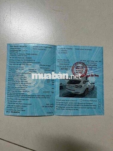 Ford Everest 2022 Trắng 35.000 km Thái Lan