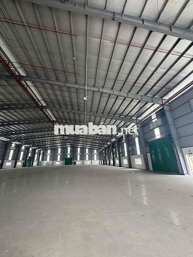 Cho thuê xưởng 5600m2 kcn Đức Hoà III - Thái Hoà Long An