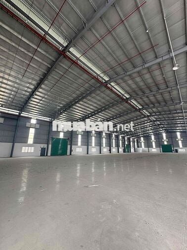 Cho thuê xưởng 5600m2 kcn Đức Hoà III - Thái Hoà Long An