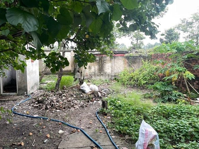 Nhà sân vườn cần bán, thích hợp kinh doanh hoặc làm khách sạn mini 