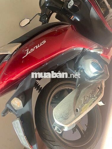 Yamaha Janus 2024 màu Đỏ