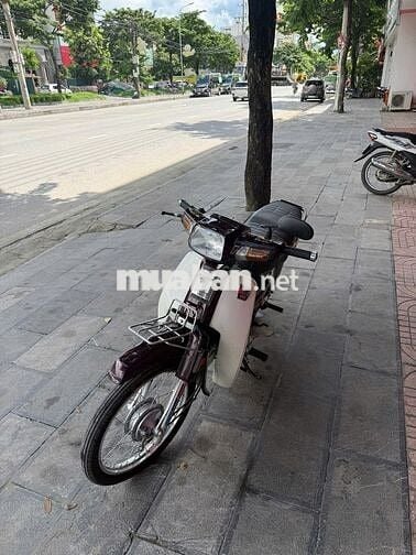 Honda Dream Thái 1997 Nâu Xăng