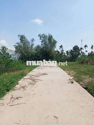 Chính chủ bán đất lô góc 2 mặt tiền rộng Xã Hà Nha Đà Nẵng mới