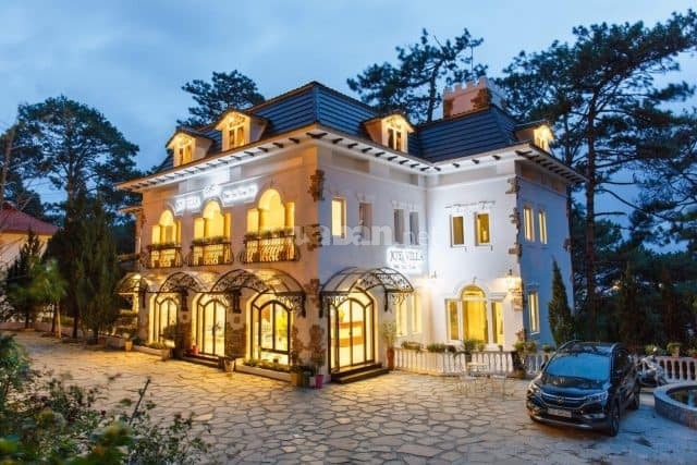 David Dũng, Việt Kiều Thụy Sỹ, 35t, tìm cưới vợ Việt Nam