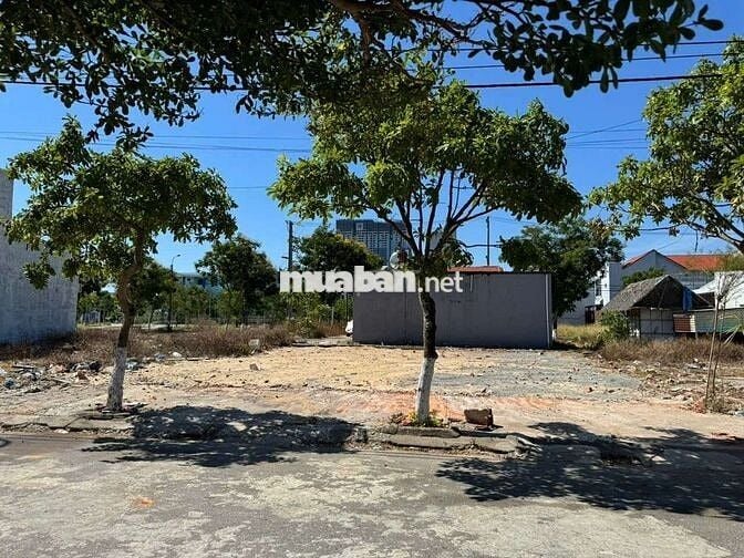 BÁM CẶP ĐẤT BIỂN TÂN TRÀ ĐƯỜNG TRẦN VĂN GUẢNG
