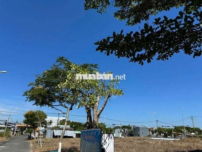 BÁM CẶP ĐẤT BIỂN TÂN TRÀ ĐƯỜNG TRẦN VĂN GUẢNG