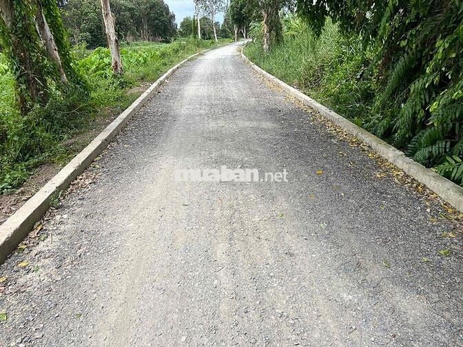chủ gửi lo đất mặt tiền sông vàm thuật ( 16x85) giá 7 ty