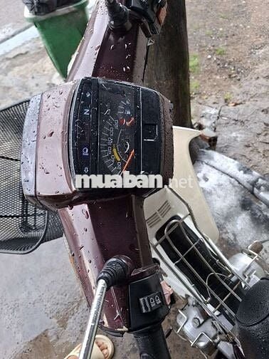 Honda Dream 50cc.II Nâu, Trắng