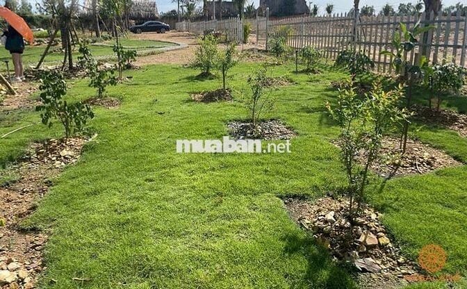 đất vườn có thổ cư  cần bán gấp