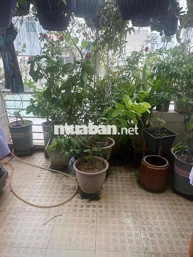 BÁN NHÀ HẺM HUỲNH TẤN PHÁT QUẬN 7, DT: 4 ❌15m (2 lầu sân thượng)