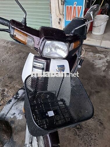Honda Dream 50cc.II Nâu, Trắng
