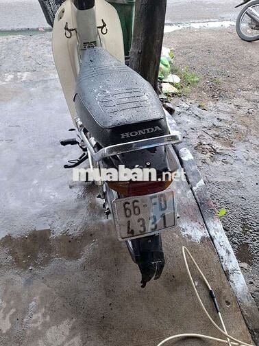 Honda Dream 50cc.II Nâu, Trắng
