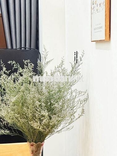 🏡 CHO THUÊ CĂN HỘ 1 PHÒNG NGỦ MỚI XÂY – LUMIHOMES