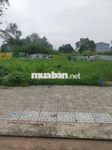 Đất phường An Lạc full thổ cư đang vay ngân hàng