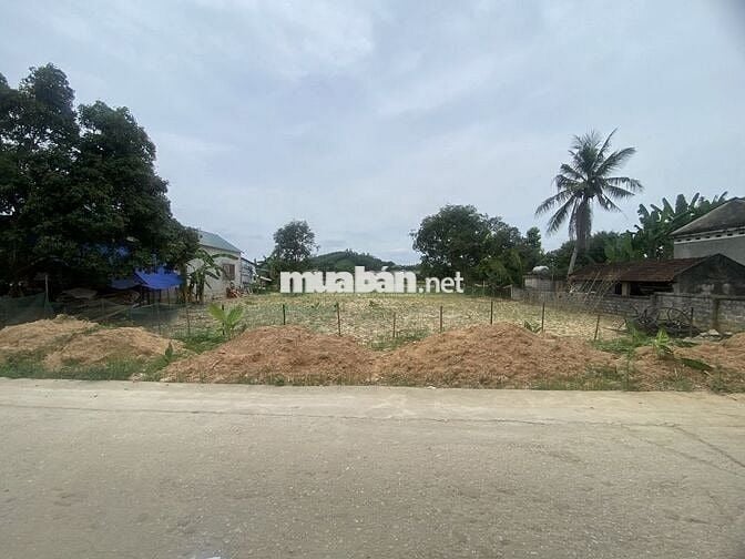 Chủ nhà bán gấp 1200,5m2 full thổ cư Triệu Sơn Thanh Hóa giảm giá sâu 