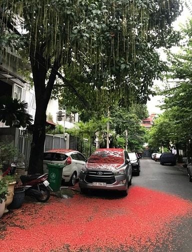 Bán gấp nhà HXH Sư Vạn Hạnh- P.12 -Q.10 5m x 17m 4 Tầng giá 19,9 tỷ TL