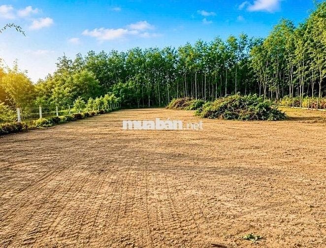 🔥1.200m² ĐẤT GÓC 2 MẶT TIỀN – GIÁ CHỈ 2 TỶ
