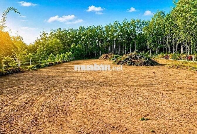 CHỈ 2 TỶ SỞ HỮU 1200M² ĐẤT GÓC 2 MẶT TIỀN – CỦ CHI