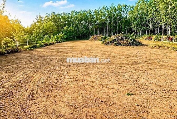 🔥1.200m² ĐẤT GÓC 2 MẶT TIỀN – GIÁ CHỈ 2 TỶ