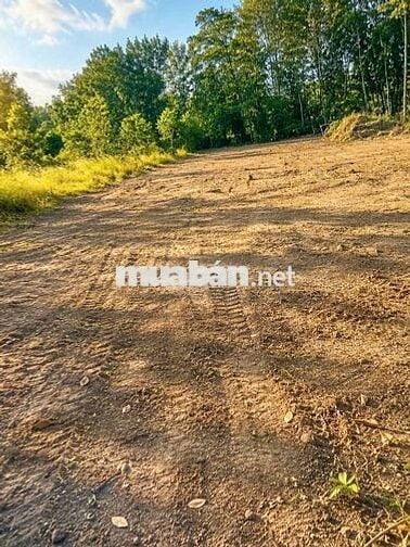 CHỈ 2 TỶ SỞ HỮU 1200M² ĐẤT GÓC 2 MẶT TIỀN – CỦ CHI