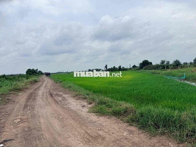 ĐẤT TCLN DIỆN TÍCH 1576m2– SÁT BV XUYÊN Á . giá 6tỷ TL