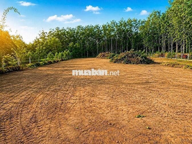 Đất Góc 2 Mặt Tiền 1.200m² Phú Mỹ Hưng, Củ Chi – Chỉ 2 Tỷ