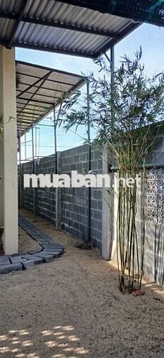 Cần cho thuê nhà khu 7B Điện Ngọc